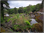 foto Parco di Killarney